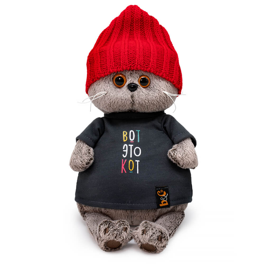 Basik in a knitted hat and black t-shirt photo