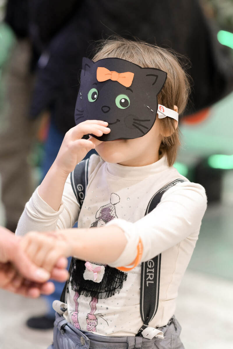 ZOO FESTIVAL at the Shchelkovsky Shopping Center: Cat Basik visiting 'Beethoven' ZOO FESTIVAL at the Shchelkovsky Shopping Center: Cat Basik visiting 'Beethoven'