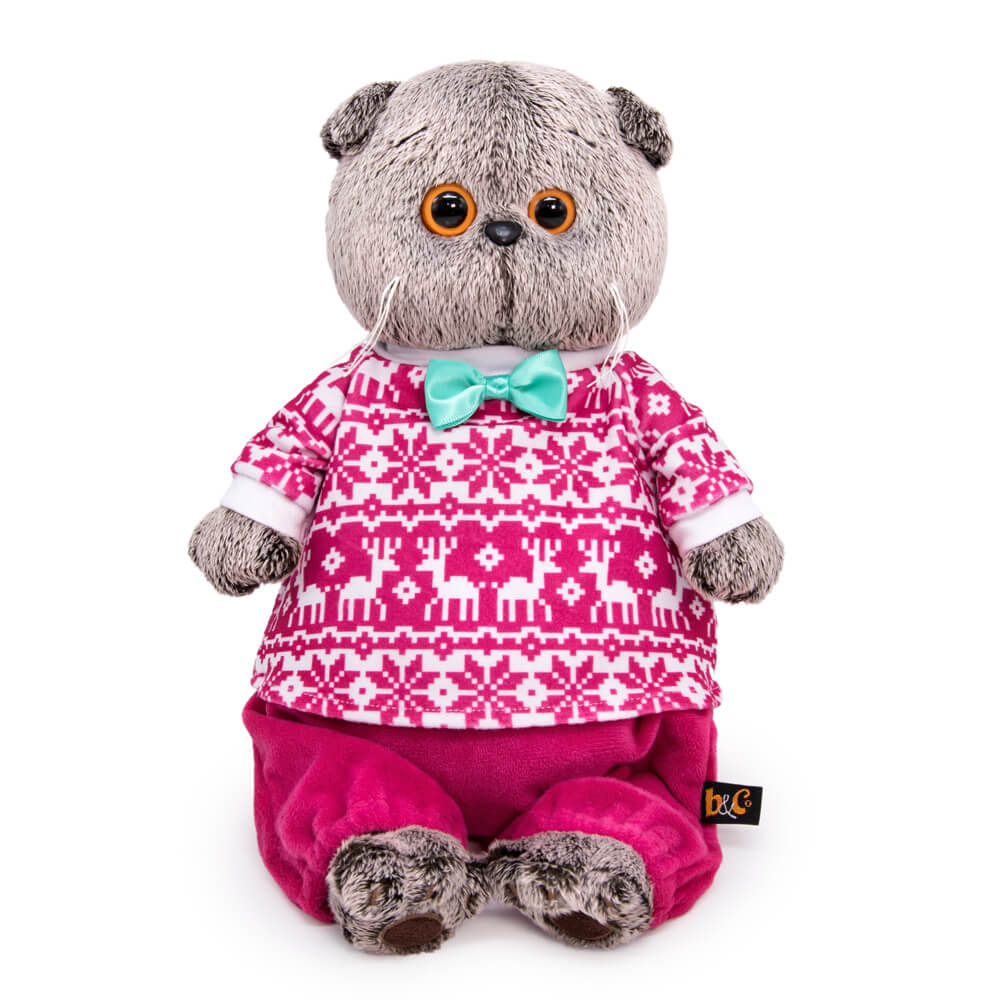 Basik in winter pajamas photo