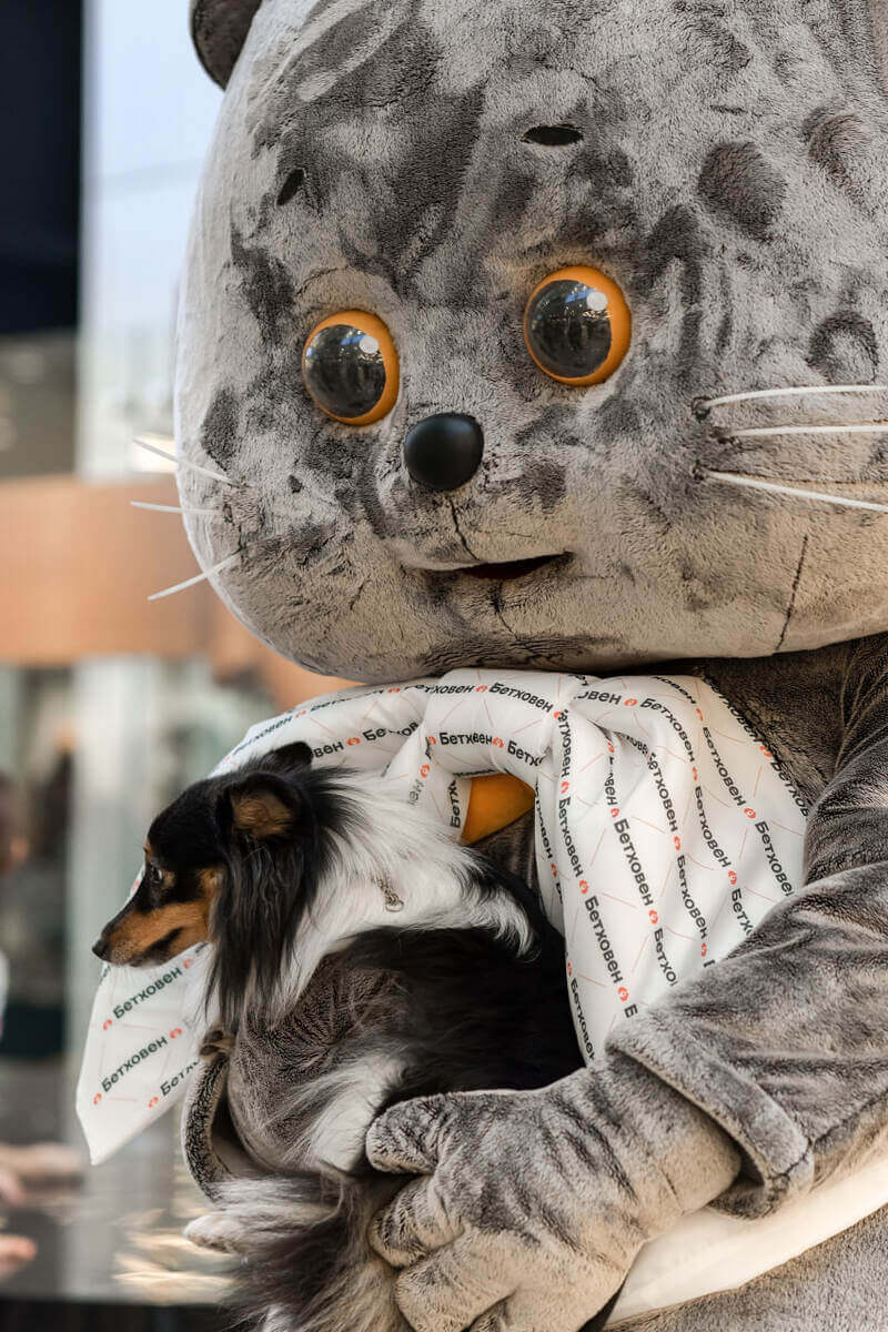 ZOO FESTIVAL at the Shchelkovsky Shopping Center: Cat Basik visiting 'Beethoven' ZOO FESTIVAL at the Shchelkovsky Shopping Center: Cat Basik visiting 'Beethoven'