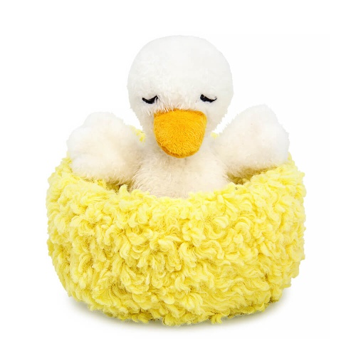 Goose in the nest