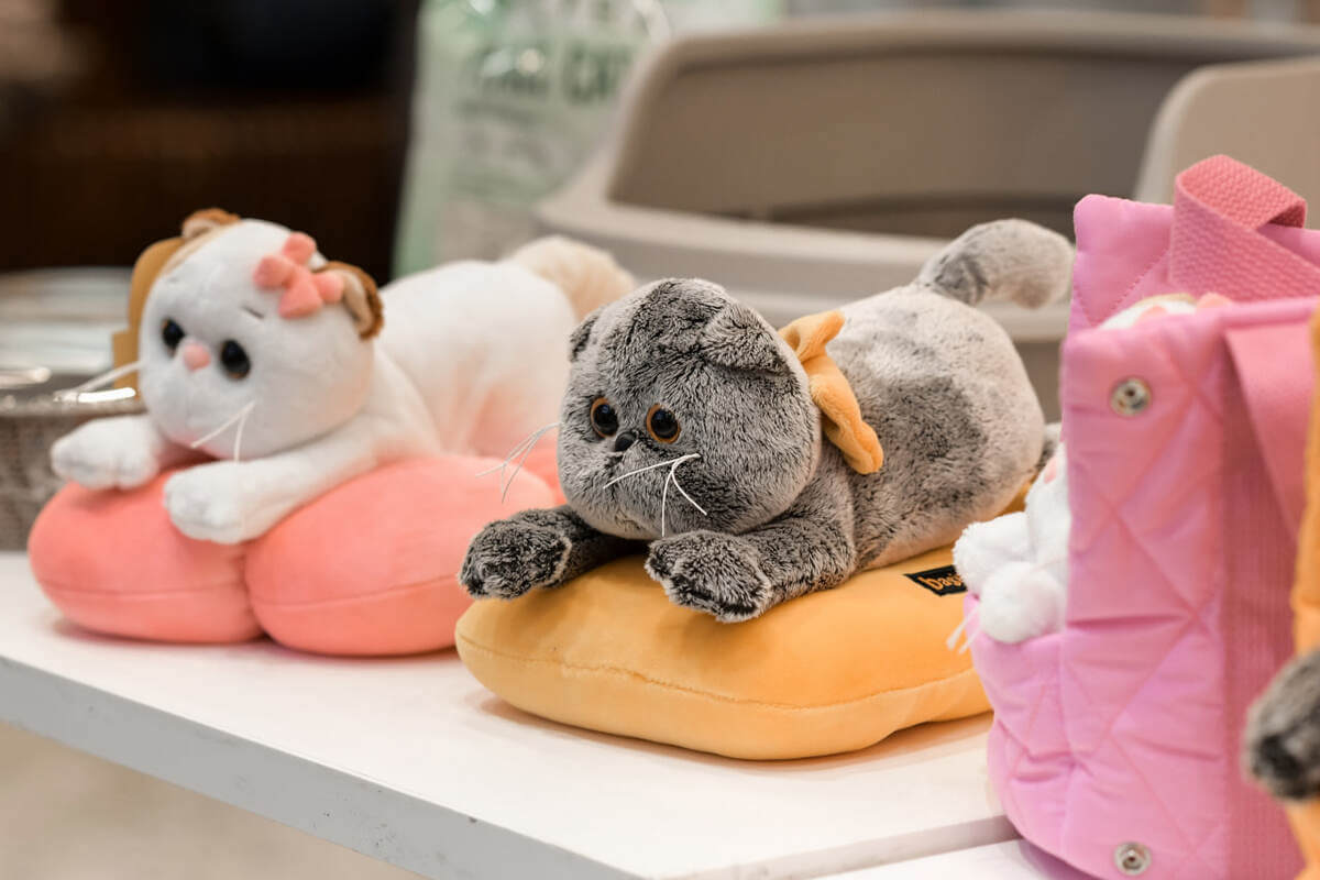 ZOO FESTIVAL at the Shchelkovsky Shopping Center: Cat Basik visiting 'Beethoven' ZOO FESTIVAL at the Shchelkovsky Shopping Center: Cat Basik visiting 'Beethoven'