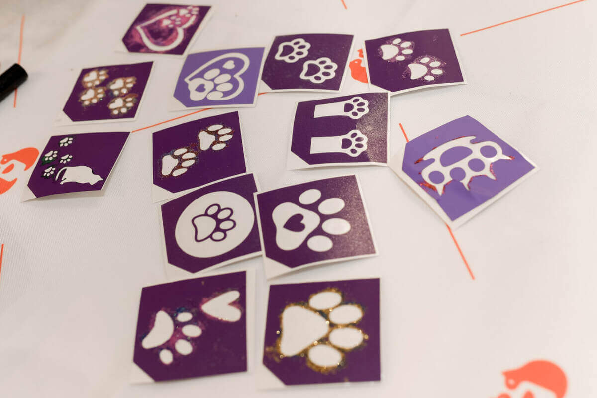 ZOO FESTIVAL at the Shchelkovsky Shopping Center: Cat Basik visiting 'Beethoven' ZOO FESTIVAL at the Shchelkovsky Shopping Center: Cat Basik visiting 'Beethoven'