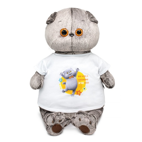Basik in a T-shirt with an "Animated Series" print