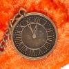 Orange vest with watch
