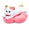 Li-Li the Cat on a Flower Pillow