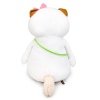 Cat  Li-Li with the flower bag