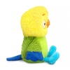 The parrot Lyutik