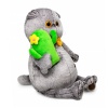 Basik with a cactus pillow
