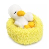 Goose in the nest