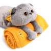 Cat Basik with a blanket
