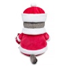 "Cat Santa Claus"