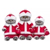 "Cat Santa Claus"