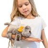Basik cat with a bow on 2 bracelets