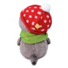in amanita hat