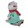 Basik the cat in a cactus T-shirt