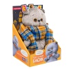 Cat Basik in a checkered scarf "Cartoon series"