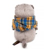 Cat Basik in a checkered scarf "Cartoon series"