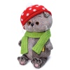 in amanita hat