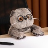 Cat Basik with glasses