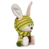 Hare Antosha in a hat and a sweater