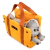 Basik the Cat in a Carrier Bag