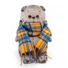 Cat Basik in a checkered scarf "Cartoon series"