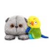 Basik with parrot Buttercup (lying down)