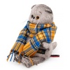 Cat Basik in a checkered scarf "Cartoon series"